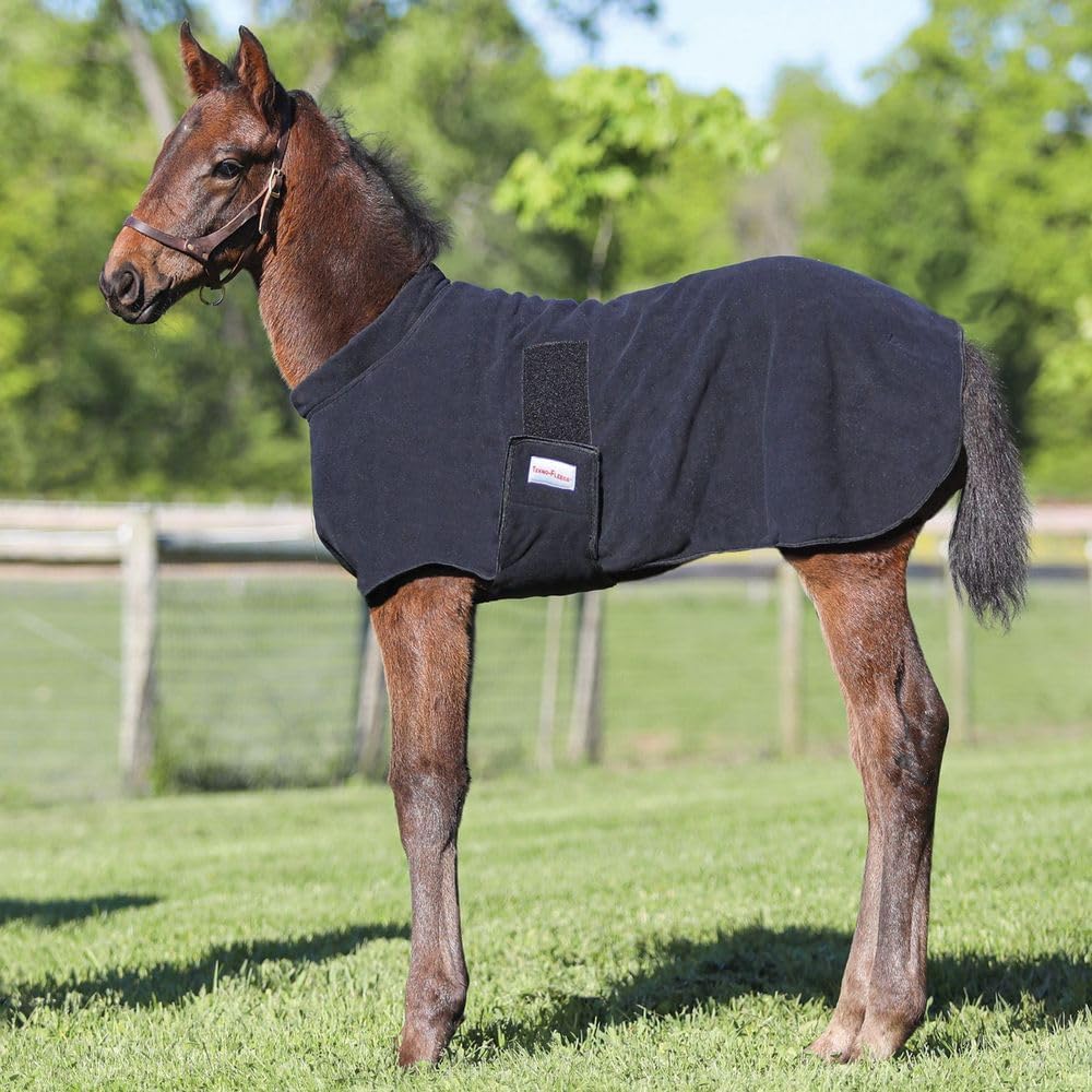 Dura-Tech Fleece Foal Warmer | Essential Horse Breeding Accessory | Technical Fleece Foal Warmer | Moisture-Wicking | Easy On and Off Design | Size Large | Color Black