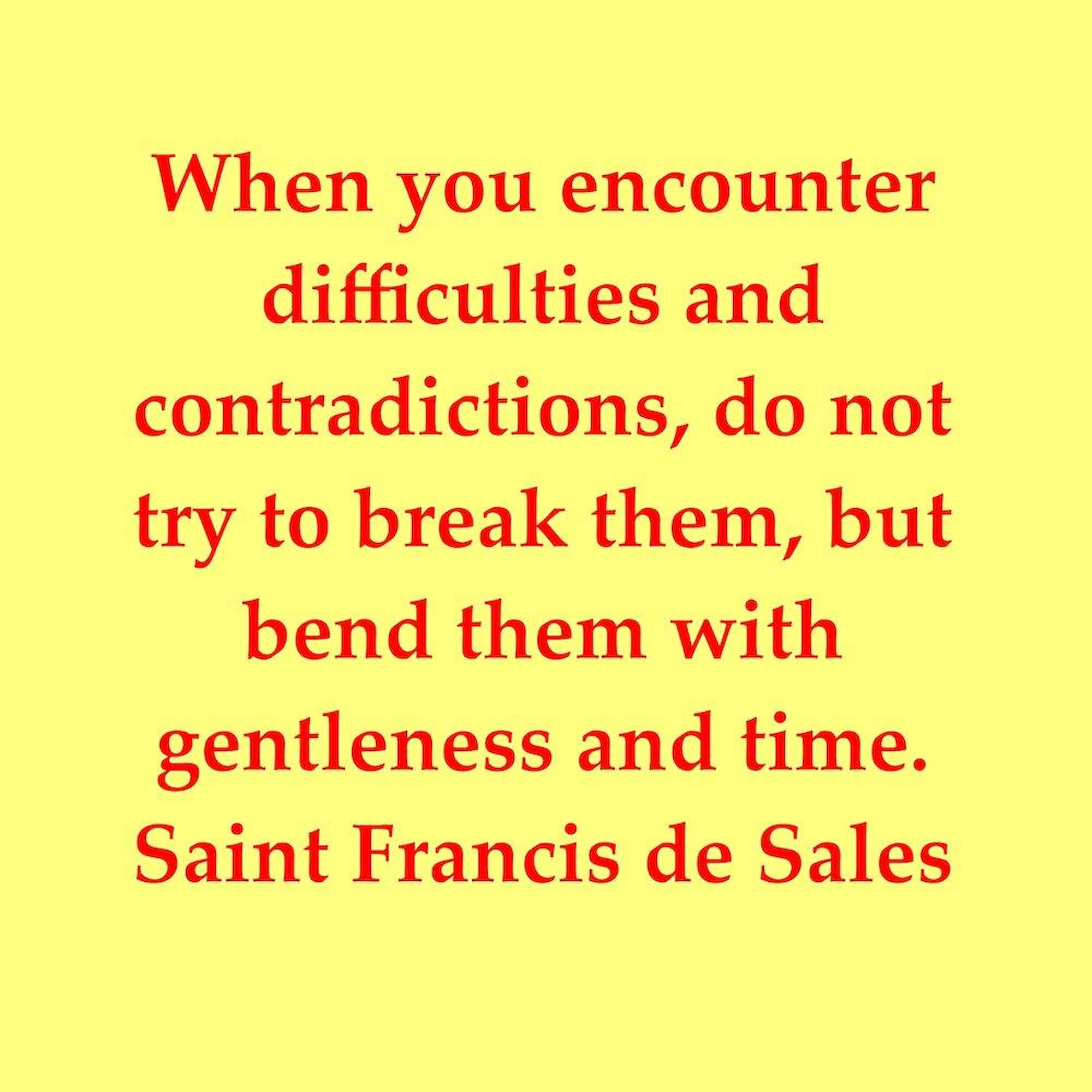 CafePress Fd199 Queen Duvet Cover, Printed Comforter Cover, Unique Bedding