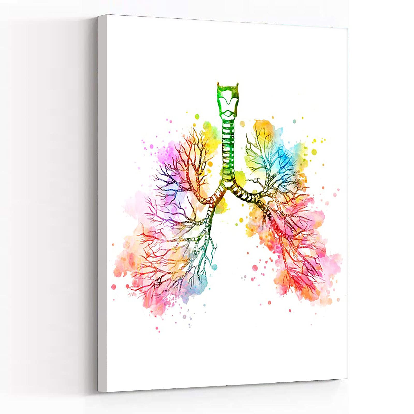 Bronchial Tree Anatomy 1422x1080