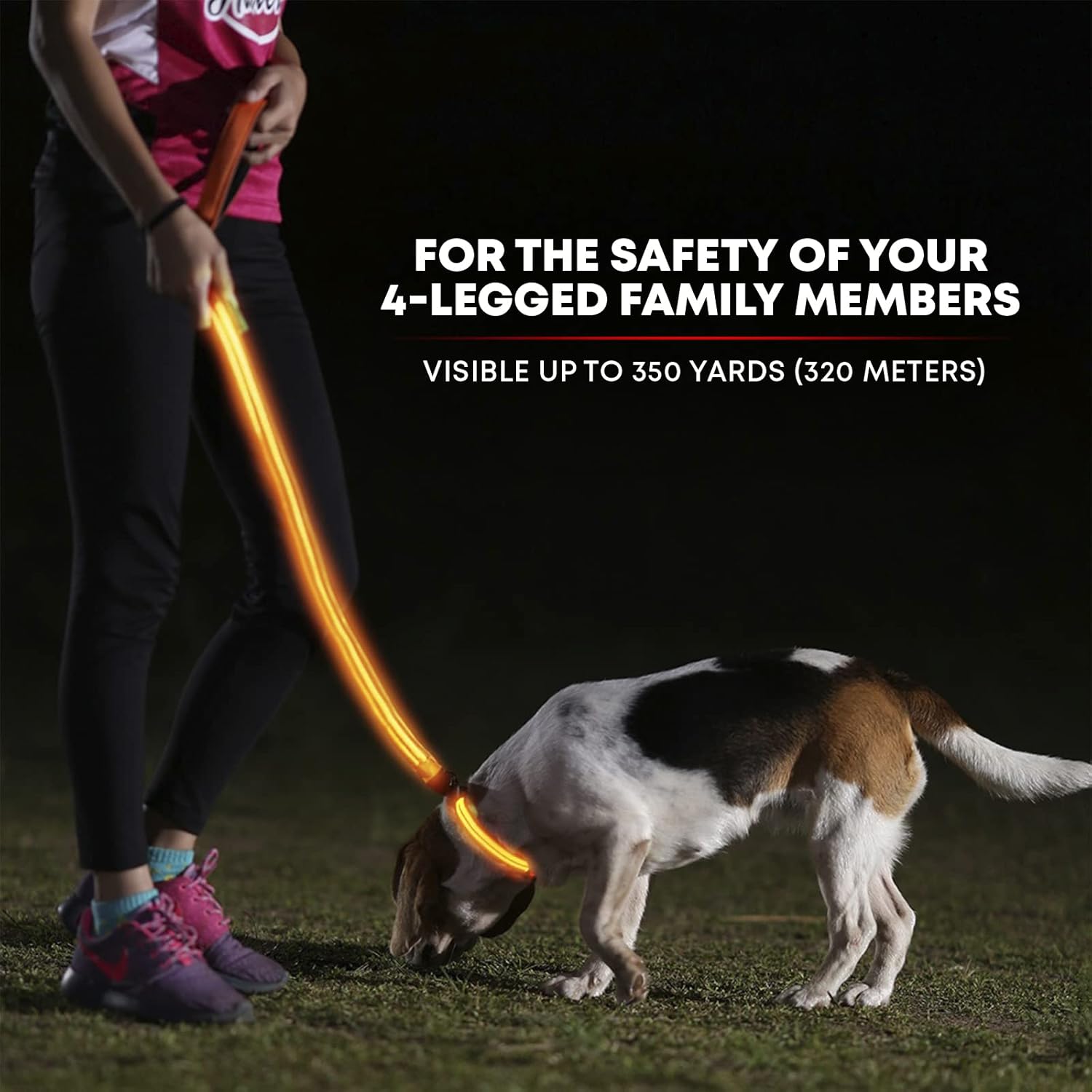 ILLUMISEEN LED Light Up Dog Leash | Ultra High Visibility Up to 350 Yards | 3 Lighting Modes | USB Rechargeable, No Batteries Needed | Padded Handle & Rotating Swivel Clasp to Prevent Leash Tangling