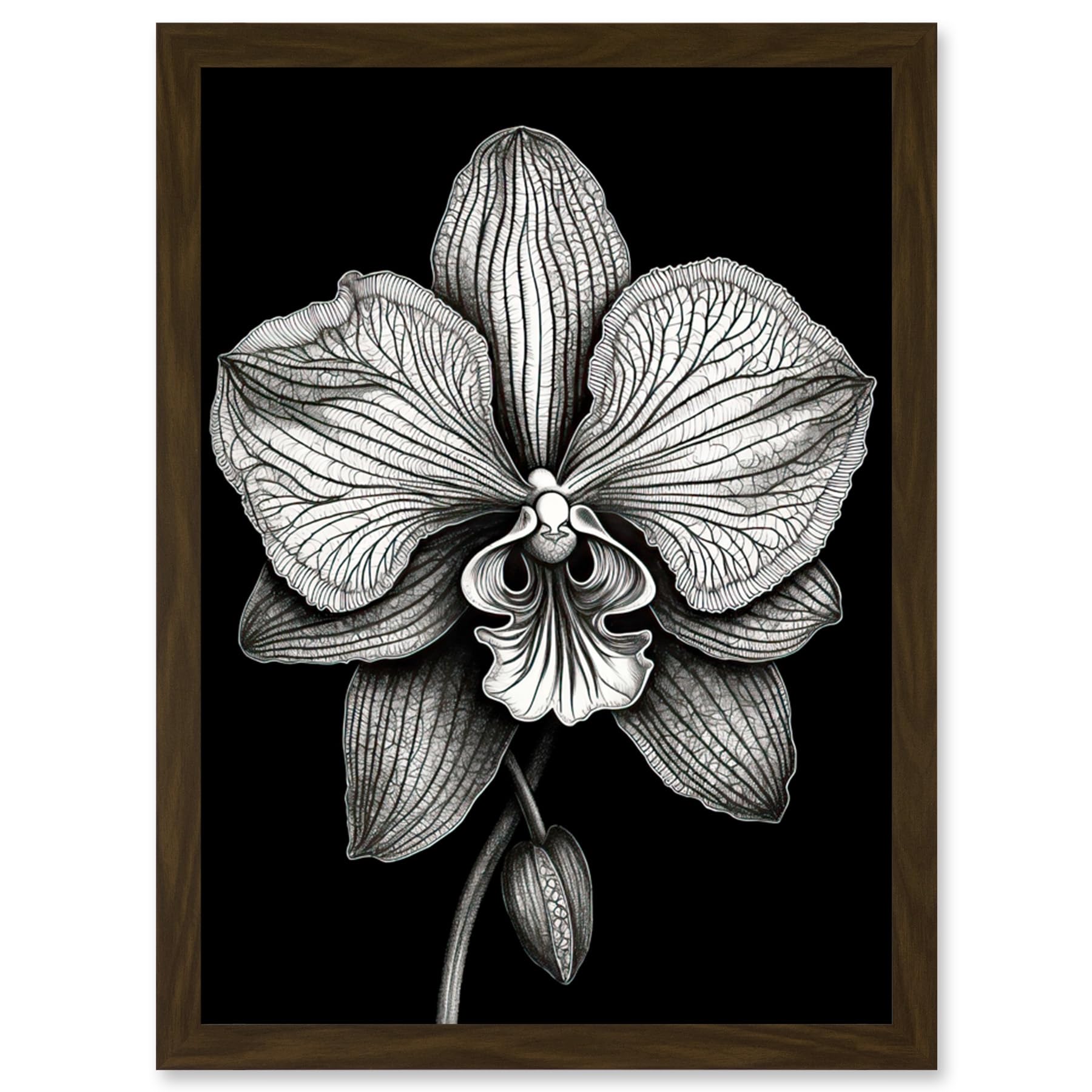 Artery8 Detailed Orchid Flower Petals in Black and White Artwork Framed Wall Art Print A4