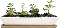 Vista 3 de 11inch Long Rectangle White Ceramic Succulent Planter Pots/Mini Flower Plant Containers with Bamboo Saucers. Product Size:11x2.23x1.69inch,not