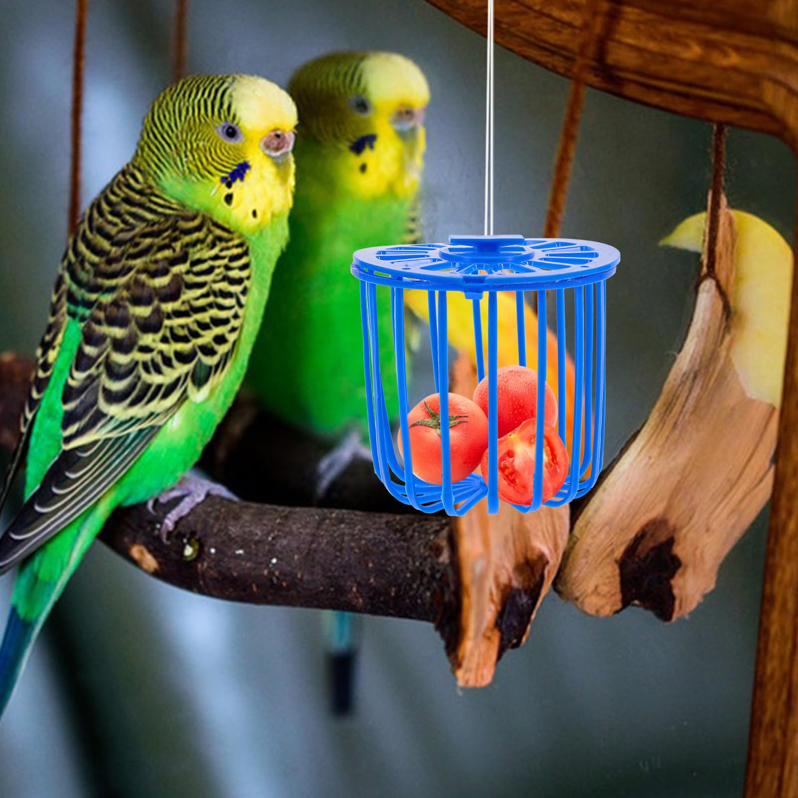 Mipcase Lot de 10 distributeurs de nourriture pour animaux domestiques - Accessoires pour animaux domestiques - Mangeoire à oiseaux - Mangeoire à légumes pour perroquet - Mangeoire à pinsons - Panier