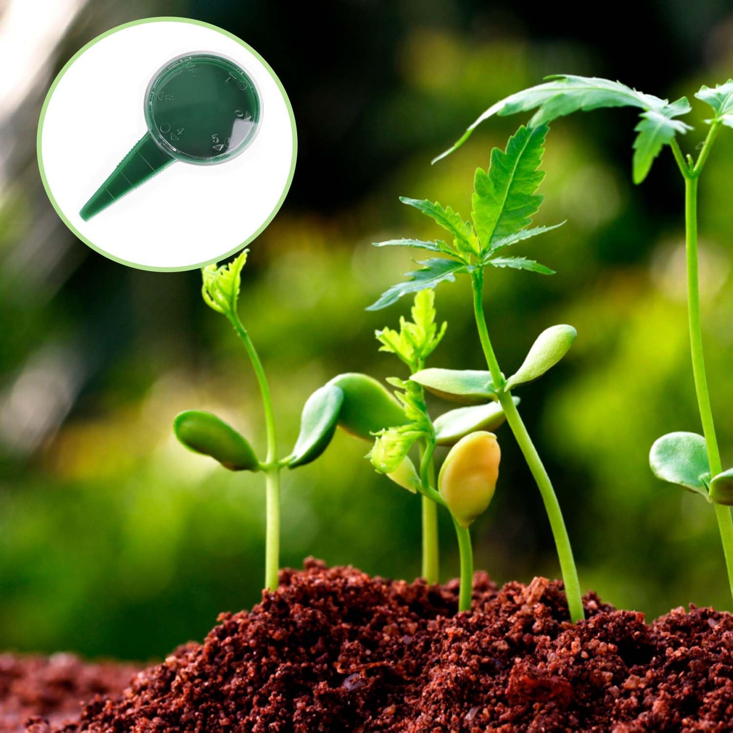 2 Pièces Distributeur de Graines, Distributeur de Graines de Plantes de Jardin, Distributeur de Graines de Pot de Fleur, pour Semer Facilement des Fleurs et des Légumes du Jardin