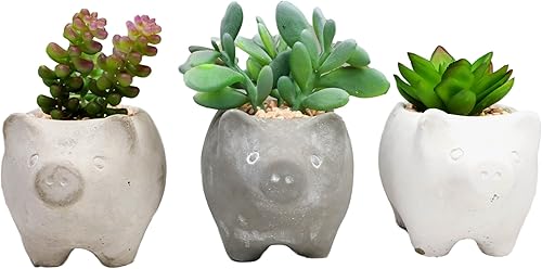 Miniatura 3 de Ebros Gift Juego de 3 suculentas botánicas artificiales realistas bonsái en pequeños cerdos en maceta de 5 pulgadas de alto, plantas de imitación