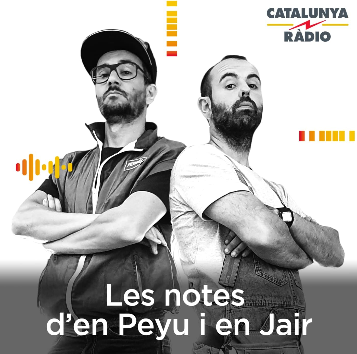 Les notes d'en Peyu i en Jair