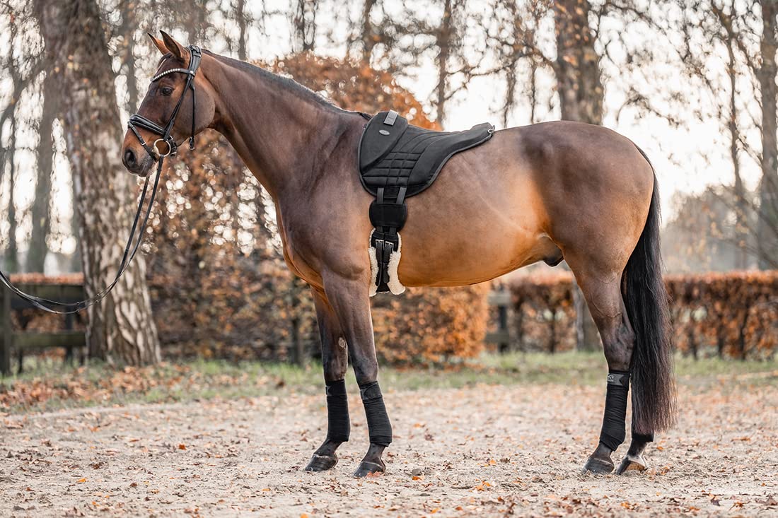 Equinate Reitpad Harper aus synthetischem Wildleder Pony Schwarz - Bareback Pad mit pflegeleichter Neopren Unterseite - Reitkissen Baumloser Sattel