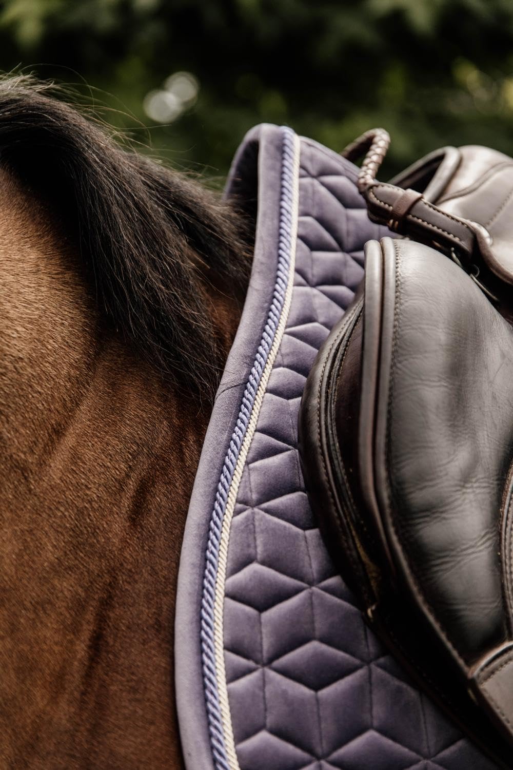 Tapis de selle FULL Mauve Velours Saut d'obstacles