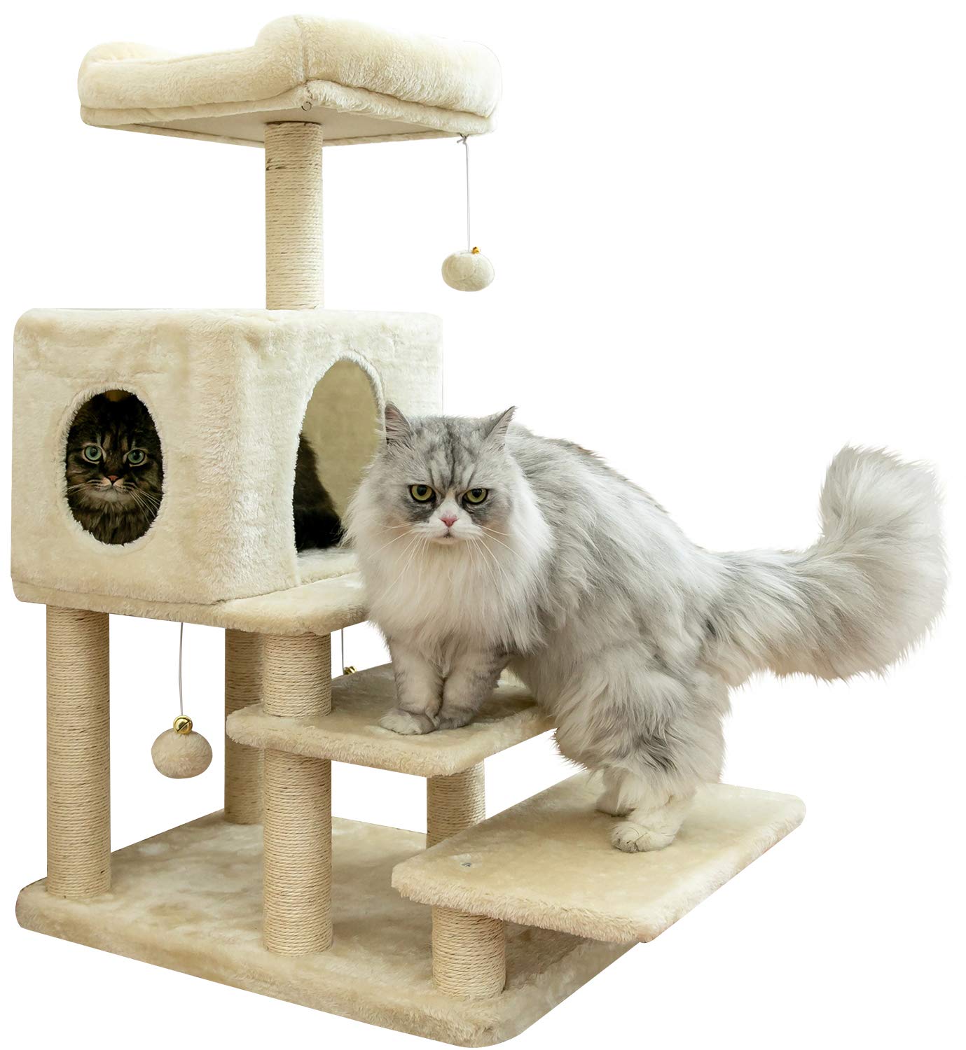 Amazon | Mwpoシニア ジャンプの苦手な猫ちゃん ワンちゃんに登り
