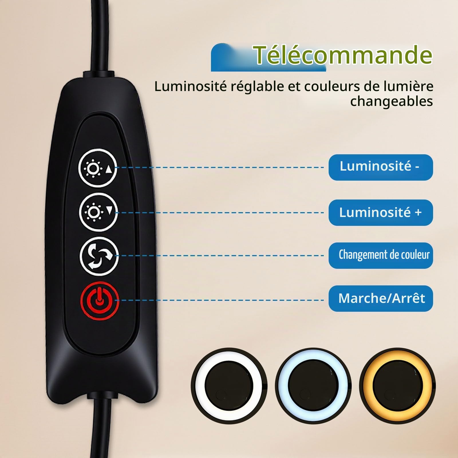 Loupe sur Pied 10x/20x avec Lumière et Support, 3-in-1 Grande Loupe Lecture pour Seniors, 5 Modes Couleur Gradable, & Pince & Socle, Lampe LED pour Lire, Coudre, Bricoler et Travaux Précision