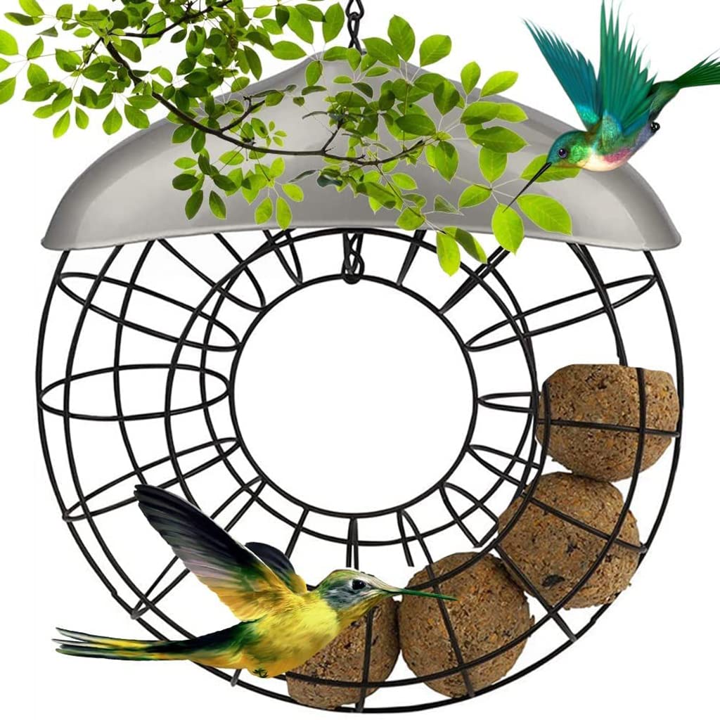 Alimentador de pájaros Colgante de Anillo, Regalos para Amantes de los pájaros, comedero de Bebedero de colibrí para jardín, Patio, Valla, decoración de Cubierta