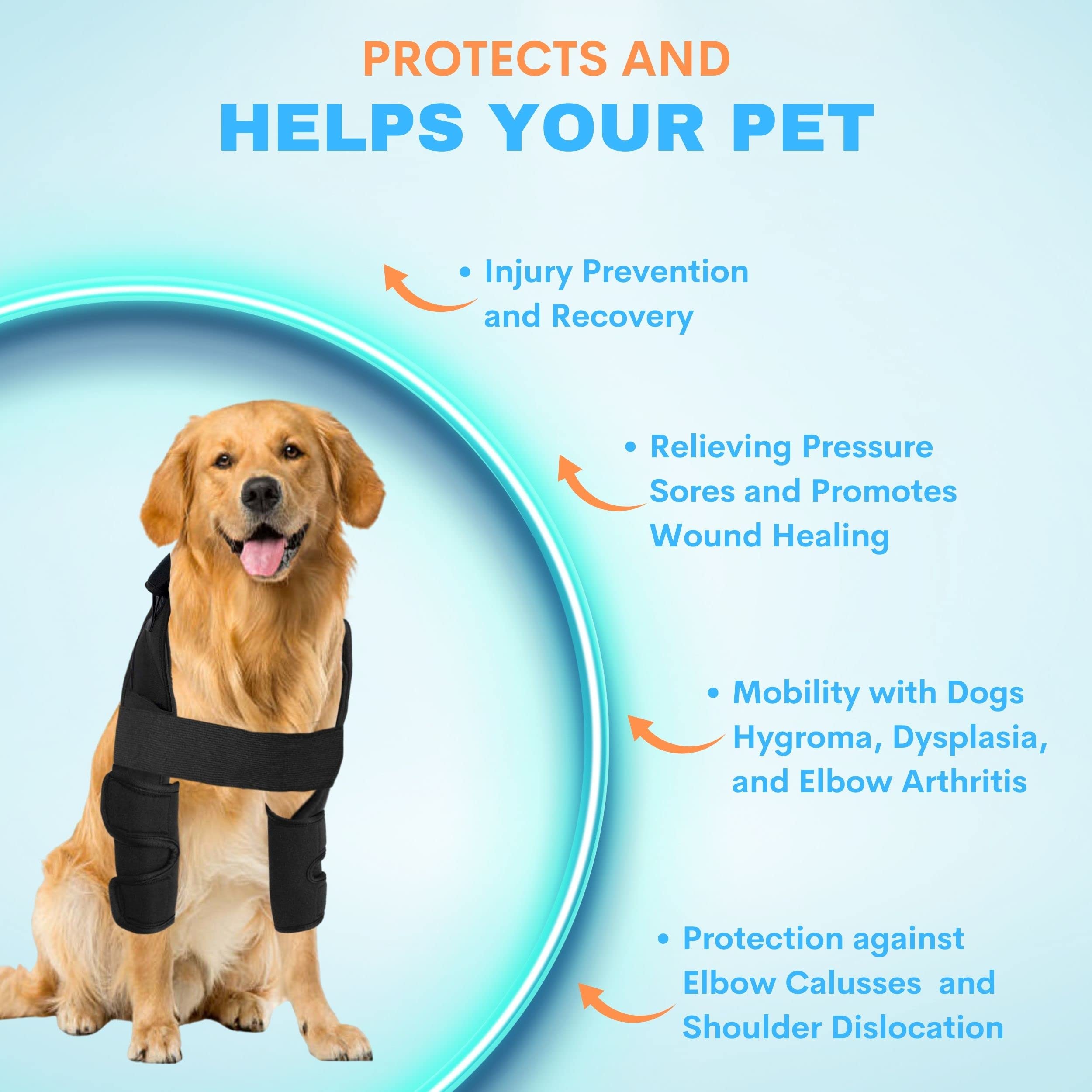 How Do You Tell If Your Dogs Shoulder Is Dislocated