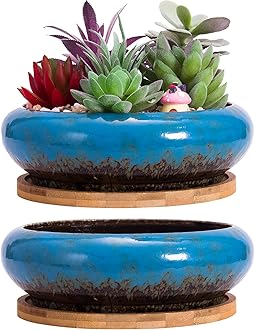 ARTKETTY Succulents Plants Artificial - 7.3 Inch Large Potted Fake Succulent Plants for Home Office Desk Decor, Realistic Faux Succulents in Glazed Ceramic Pots