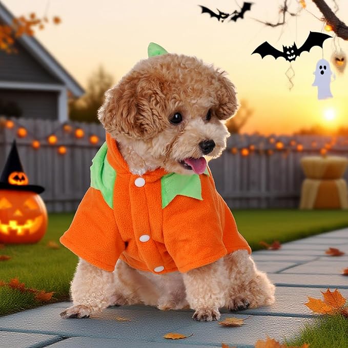 Disfraz de Calabaza para Perro Tongcloud Talla Mediana miniatura 2