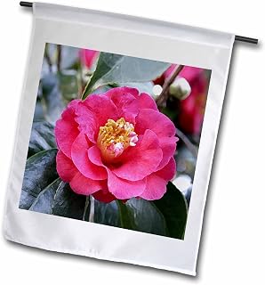 3dRose fl_4188_1 Camellia Japonica Flower, Garden Flag, 12 by 18-Inch