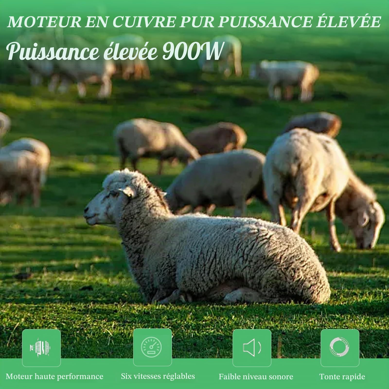900w Tondeuse à Mouton Électriques, Tondeuse à Moutons Machine avec 6 Vitesses Réglables, 2800rpm, Tondeuse Mouton Professionnelle pour Moutons, Alpagas et Chèvres, avec Étui de Transport