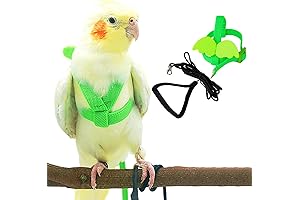Dnoifne Conure Leash, Parrot Bird Harness and Leash - Adjustable Training Design Anti-Bite