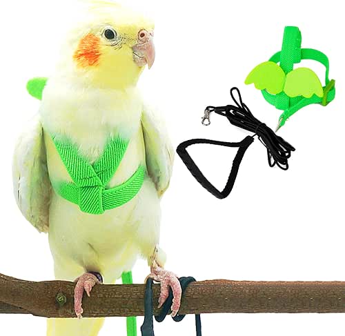 Dnoifne Pet Parrot Bird Harness and Leash, Adjustable Training Design