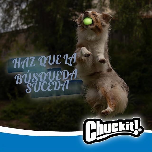 Foto 2 de 7 de Chuckit CU32314 MAX Glow Bola de Perro
