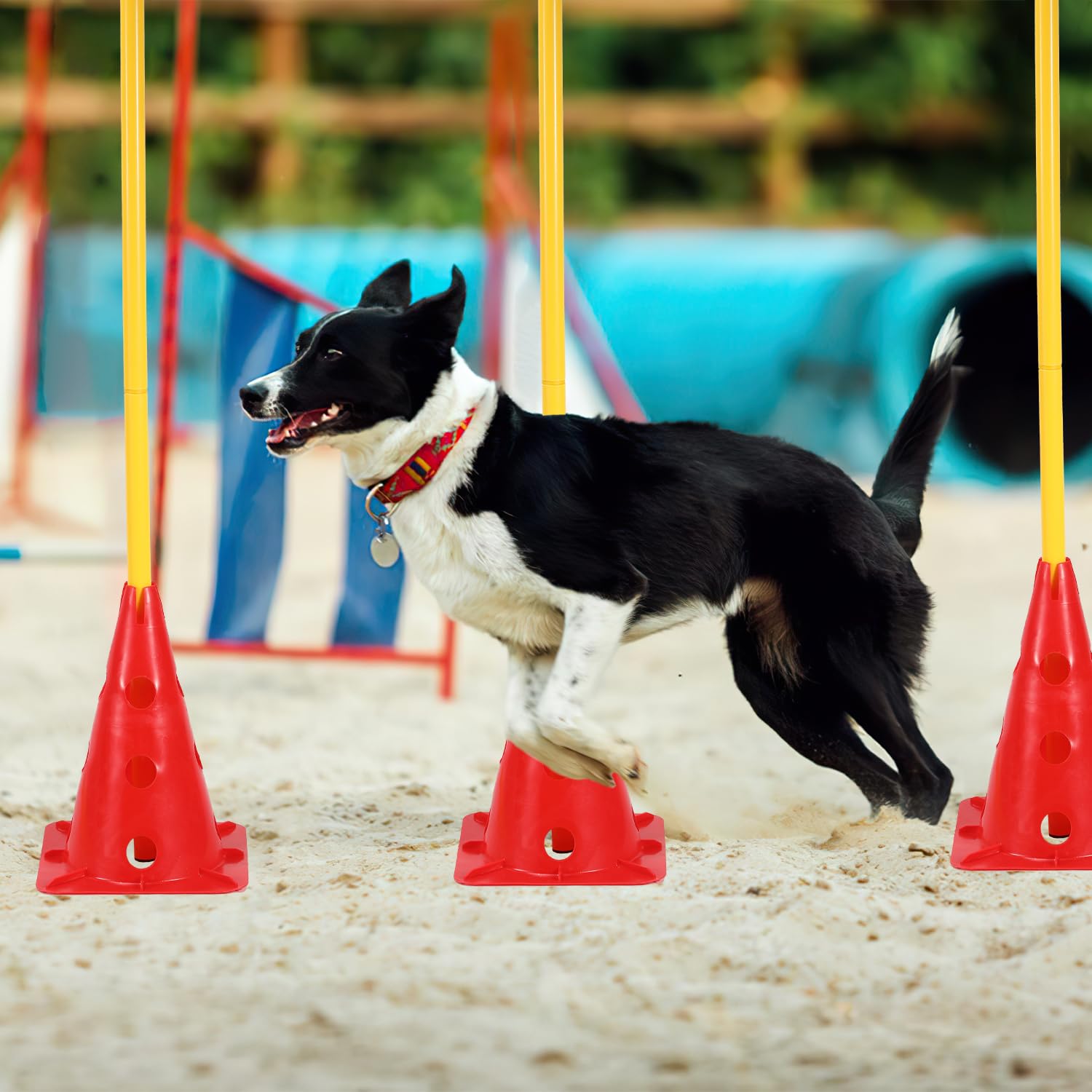 Steckhürdenset 12 Kegel mit 6 Stangen, Agility Hürden Steckhürden Set, Koordinationstraining für Kinder Hunde Teamsport Fussball, Multifunktionskegel, für Fußball, Hundesport