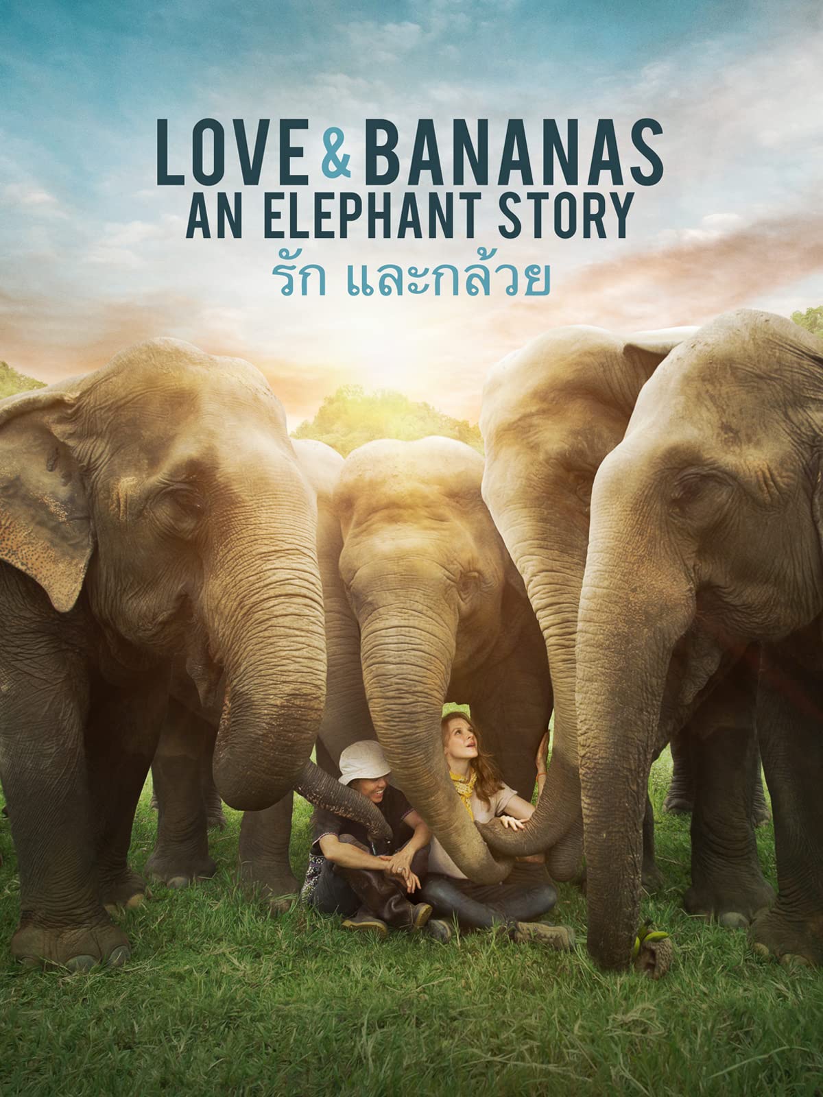 Watch Love and Bananas: An Elephant Story | Prime Video