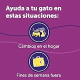 Ver la foto 5
