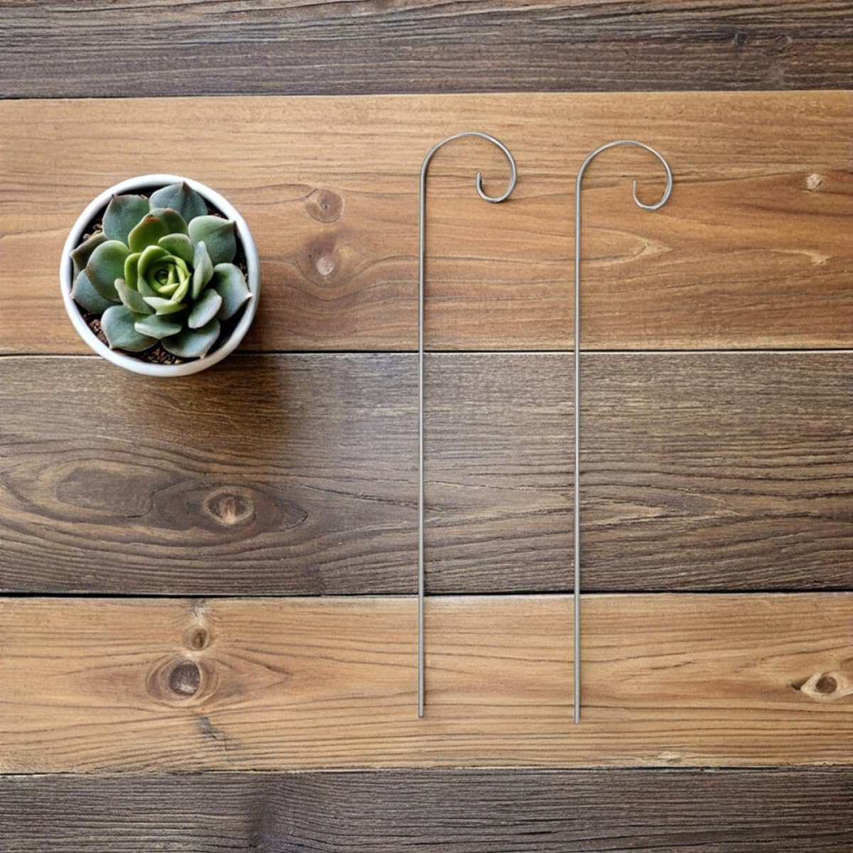 Hemoton 20pcs Garden Stake Hooks and Outdoor Plant Hangers Heavy Duty Iron Shepherd’s Hooks for Hanging Lanterns, Flower Baskets, and Garden Labels, 200mm 300mm Poles for Lawn and Patio