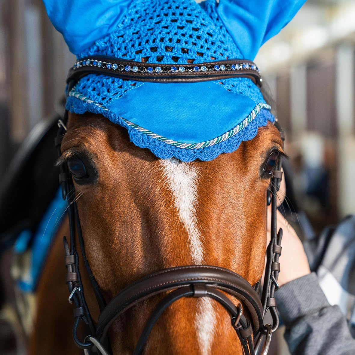 Equivalence Briglia con Redini in Gomma, Frontalino con Cristalli Blu, Nera, Full