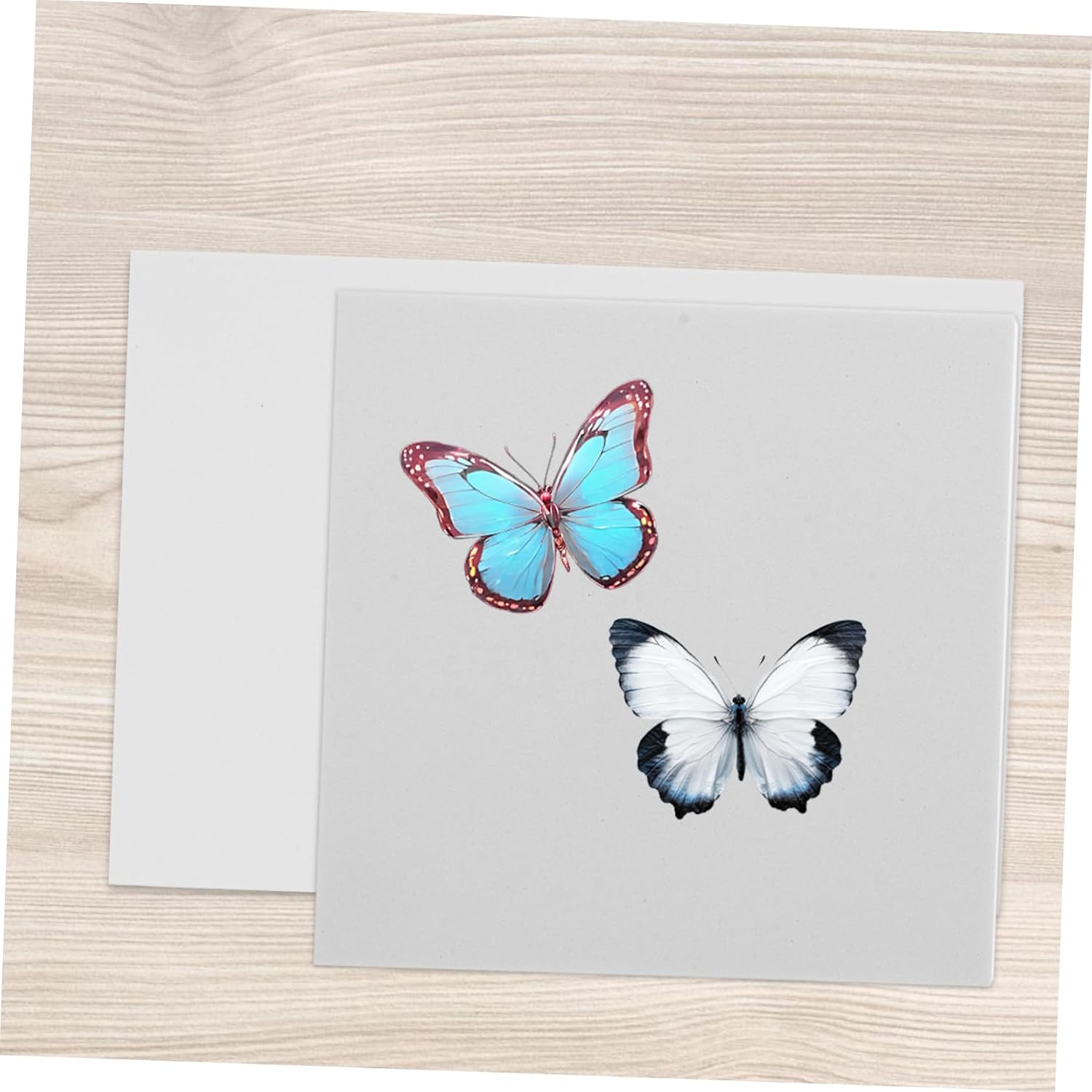 Unomor Butterfly Specimen Mounting Board Insect Display Tool Eva Foam Spreader Insect Butterfly Mounting Kit Beginner's Specimen Display Board