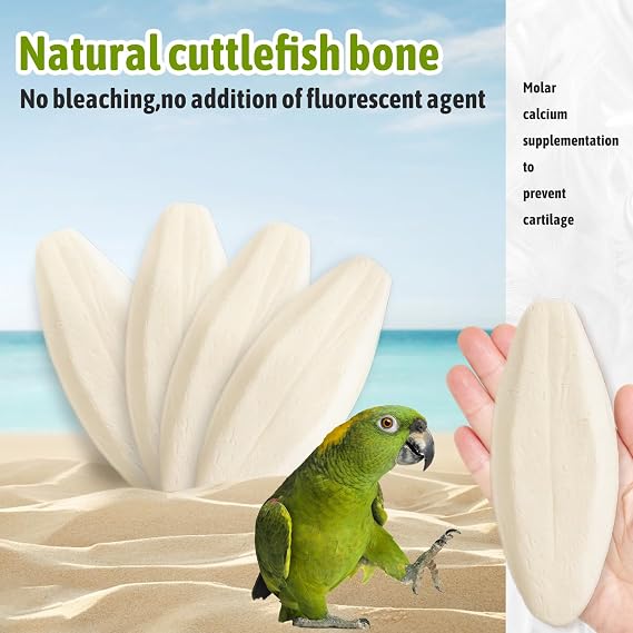 9Pcs Cuttlefish for Birds and Tortoise,Cuttlefish Bone, Natural Calcium Supplement for Pet Care, 3 Sizes (7-9cm, 9-12cm, 12-14cm) for Parrots, Snails, and Reptiles