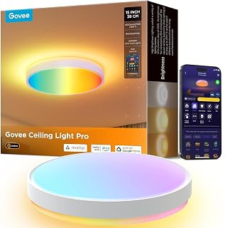 Govee RGBIC LED Ceiling Light