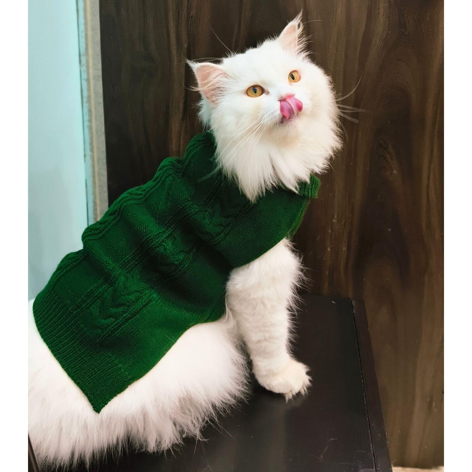 Lulala Turtleneck Dog Sweater, Dog Winter Clothes for Small Dogs Boy Girl, Warm Dog Sweater for Small Dog (Green-14 Inch) 4