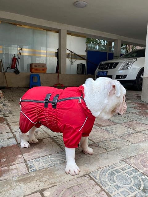 Foto 7 de 8 de Lovelonglong Impermeable para perro