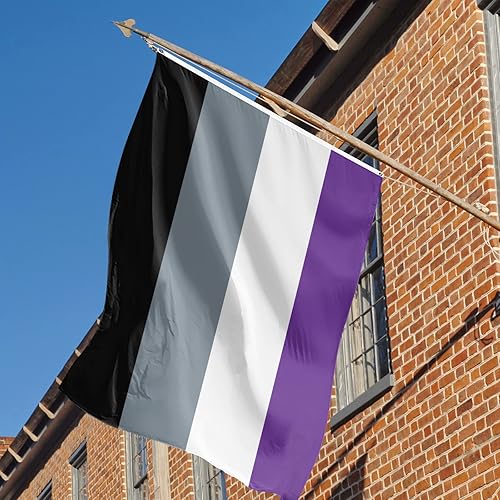 Miniatura 4 de Bandera de orgullo asexual de 3 x 5 pies, bandera arcoíris para interiores y exteriores, representa perfectamente un símbolo de igualdad de derechos