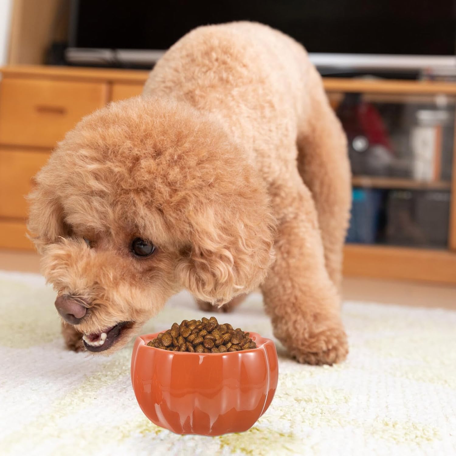 HEMOTON Ceramic Pumpkin Cat and Puppy Raised Feeding Bowls Set, Orange High-Profile Pet Food and Water Holder for Small Dogs and Cats, Neck Protection Design