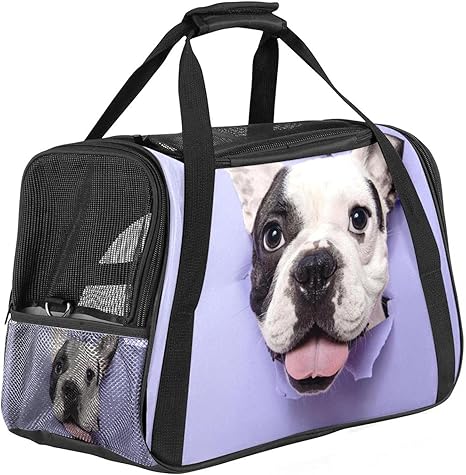 amazon puppy carrier