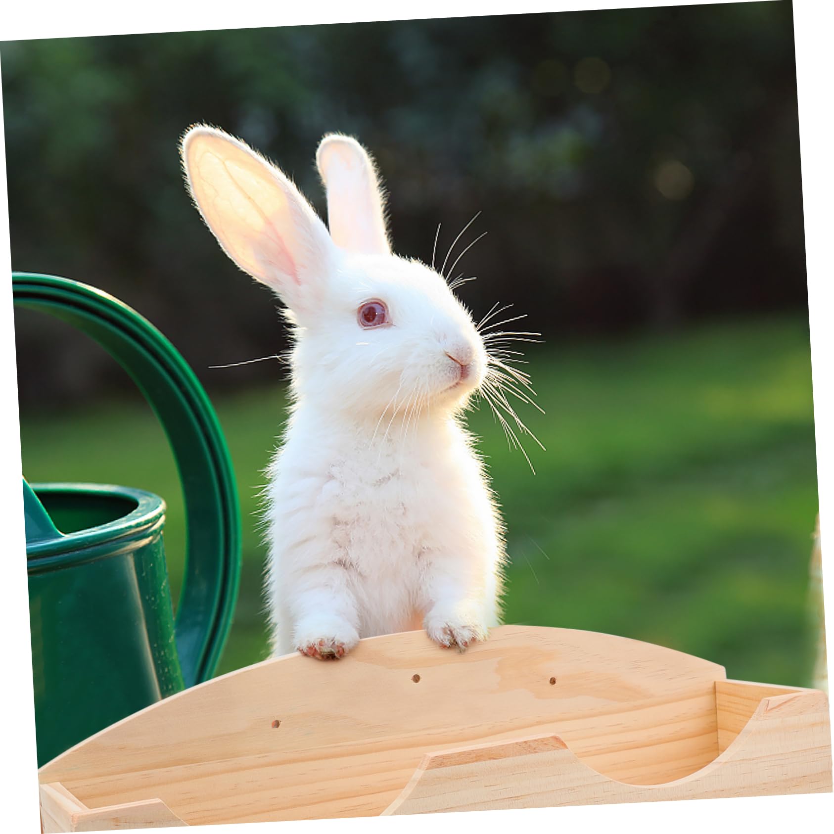 Supvox Kleine Holz Futterkrippe Aus Holz Grasfutterspender Für Kaninchen Und Kleintiere Abnehmbar Sauberer Käfighalter Für Meerschweinchen Und Chinchillas
