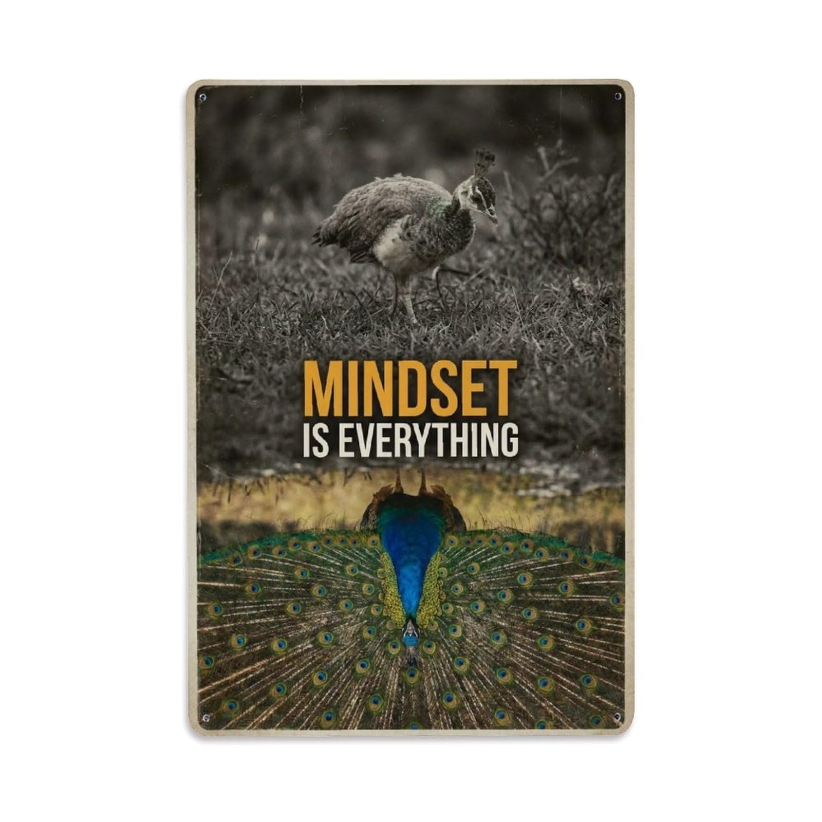 Olhnbad Style Peacock Bird Mindset Is Everything Motivational Quote Metal Tin Sign