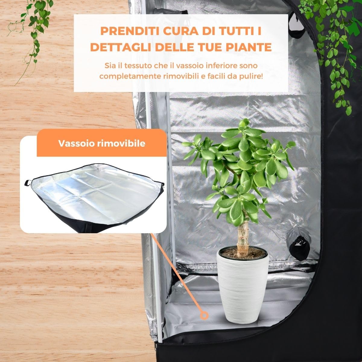 Mobiclinic®, Tenda per coltivazione indoor, Growbox, Premium mylar 97% reflective, Idroponica, Impermeabile, Fondo rimovibile, Tessuto di nylon spesso, Struttura robusta, Grow tent