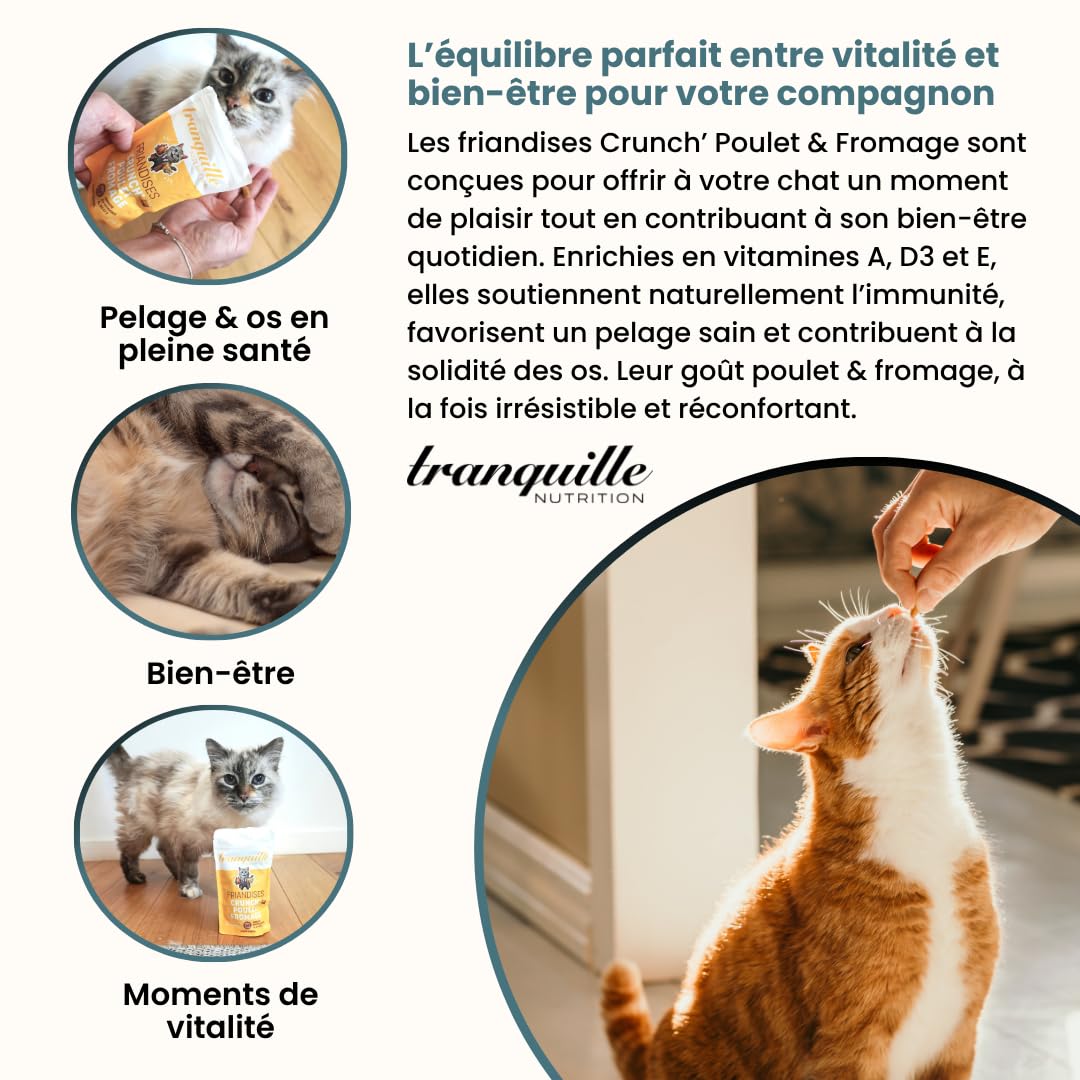 Tranquilo Golosinas Gato Crunch' Pollo Queso (40 x 60 g) | Vitaminas A D3 E Croqueta Gato | Snack Saludable y Sabroso Gatito y Gato Adulto | Ayuda a Fortalecer la Inmunidad & Huesos