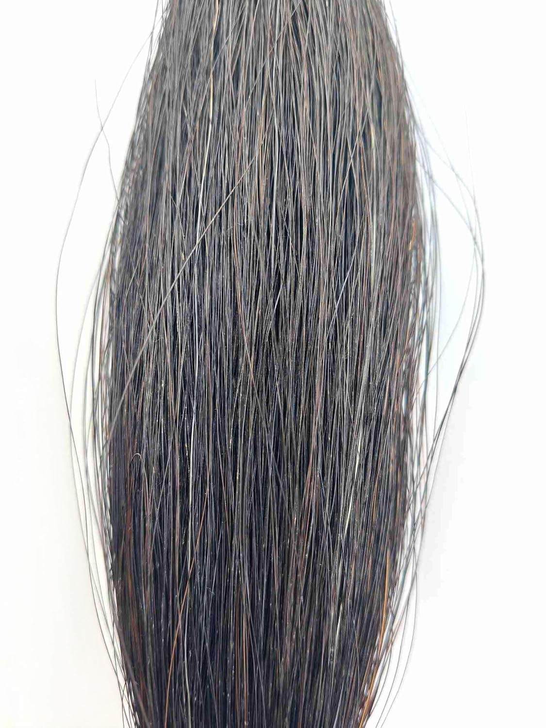 Horse Hair - 1/4 lb (Natural Black)