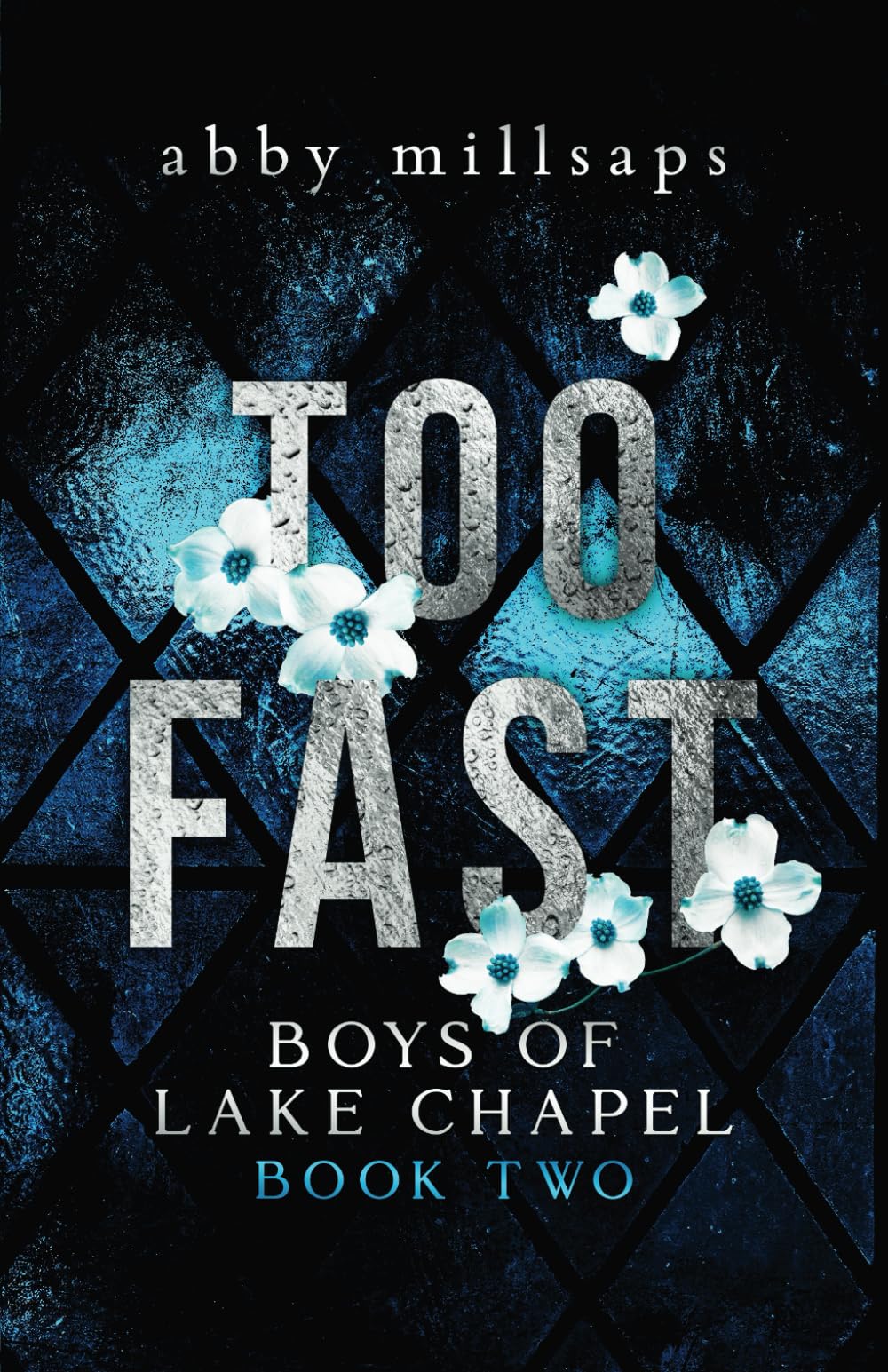 Too Fast: A Why Choose Sports Romance: 2 (Boys of Lake Chapel)