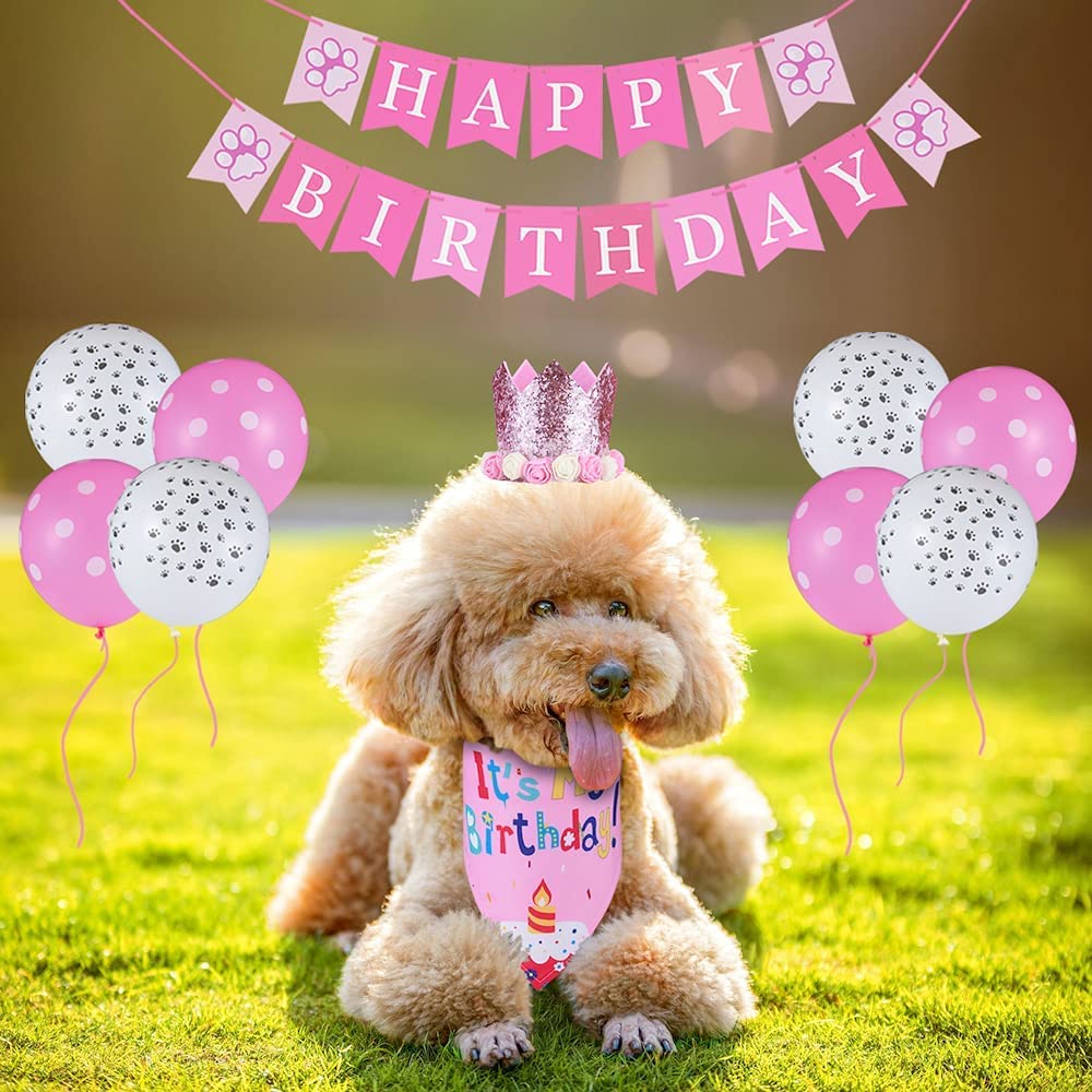 Bandana per Cani Compleanno Regalo Cucciolo Gatto Decorazioni Pet Rosa