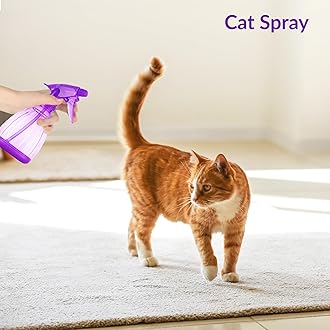 DilaBee Spray Bottles (12 Oz) Water Spray Bottle for Hair, Plants, Cleaning Solutions, Cooking, BBQ, Squirt Bottle for Cats - Empty Spray Bottles - BPA-Free - Multicolor (1 Pack - Purple)