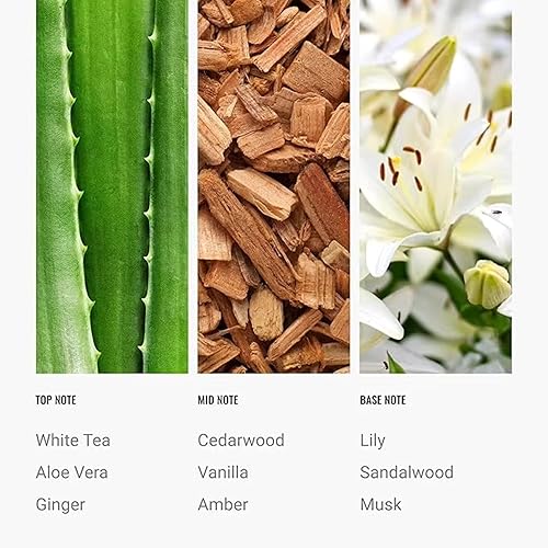 Miniatura 4 de Hotel Scents Day Dream - Aceite difusor de 16.9 fl oz Fragancia de aromaterapia inspirada en hoteles de 5 estrellas Notas de aloe vera, jengibre,