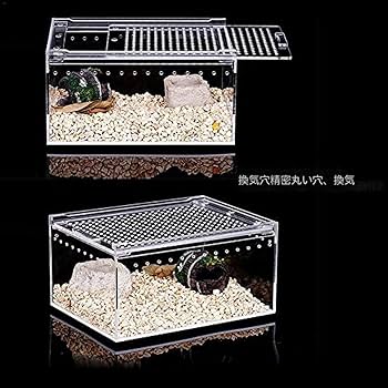 Amazon | Catonlifer 爬虫類 ケージ レプタイルボックス 爬虫類