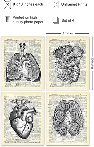 Miniatura 2 de Corazón, pulmones, cerebro, órganos de anatomía intestinal Diccionario reciclado, impresiones artísticas de pared para clínica médica, oficina,