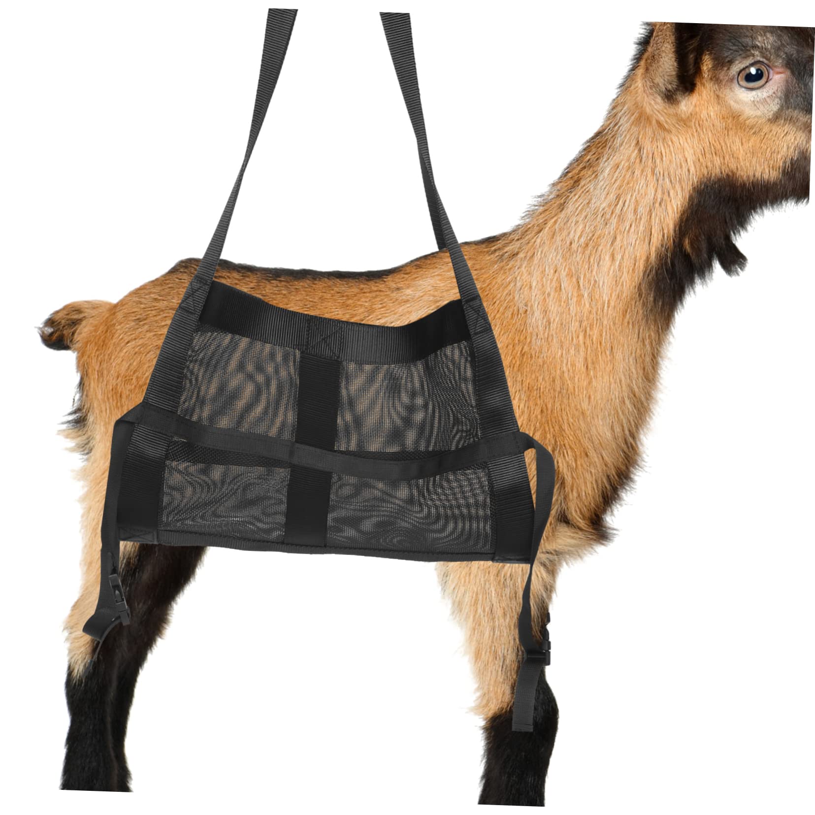 BESPORTBLE Imbracatura Per Pesare Bestiame Rete Per Pesare Bovini e Vitelli Animali Domestici Realizzata in Nylon Durevole e Sicuro Impedisce Agli Animali Di Muoversi Durante La Pesatura