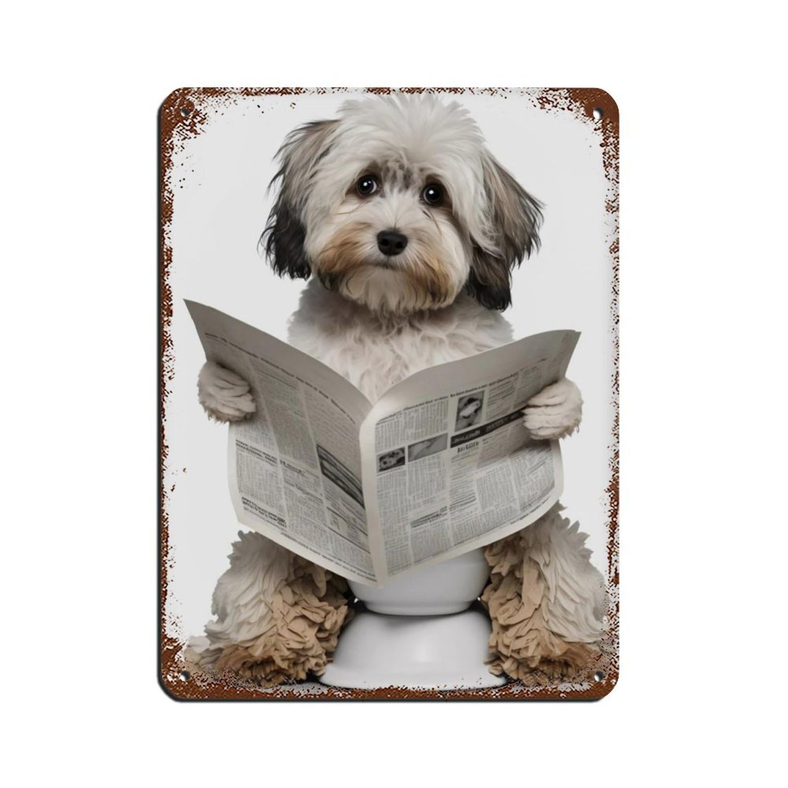 Lxwnze 30L X 40W Cm Havanese Sitting On The Toilet Reading A Newspaper Tin Sign Vintage Metal Pub Club Cafe Bar Home Wall Art Decoration Poster Retro 12X16inch(30X40cm)