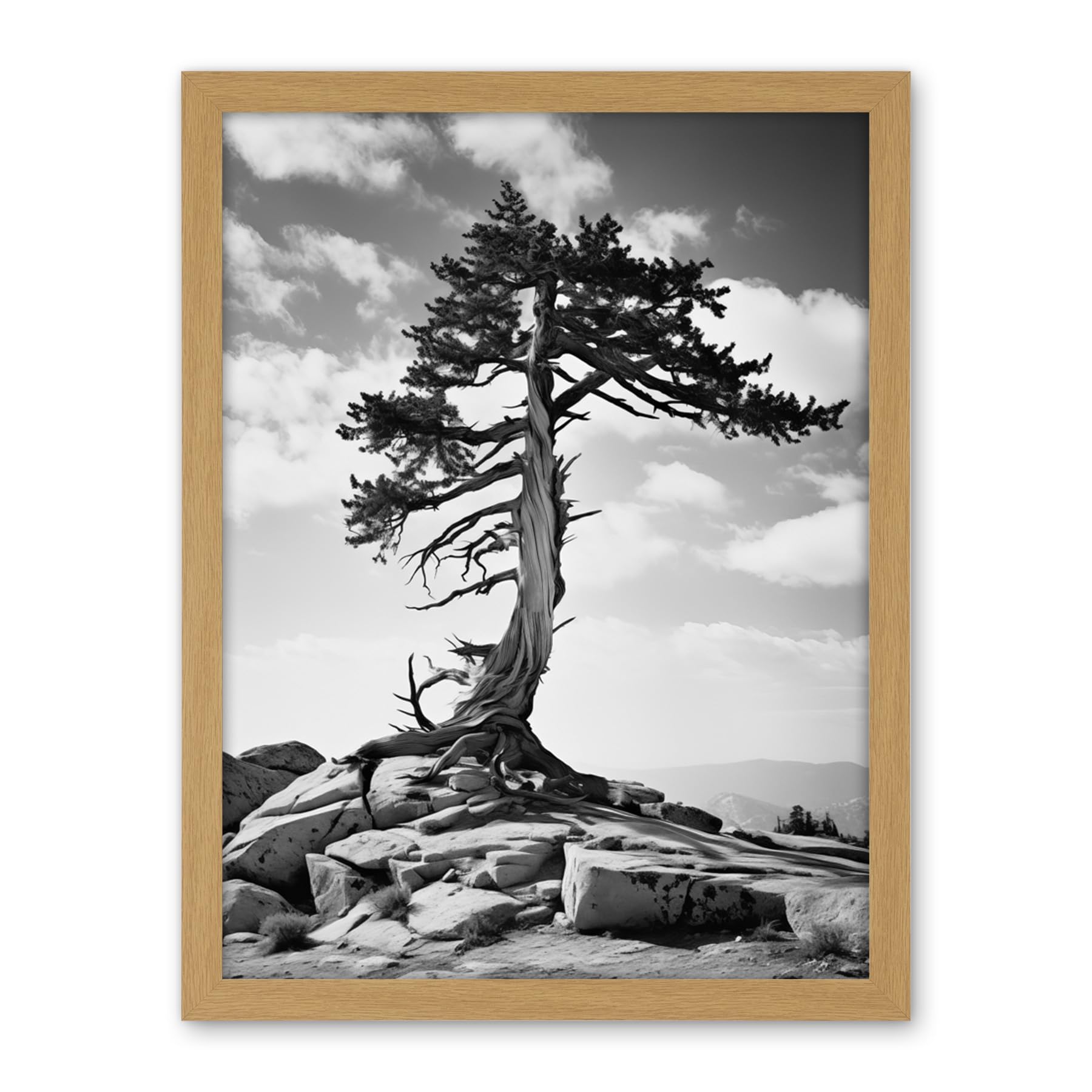 Artery8 Weathered Jeffrey Pine Standing on a Rocky Hill Black and White Photograph Lone Tree Artwork Framed Wall Art Print 18X24 Inch